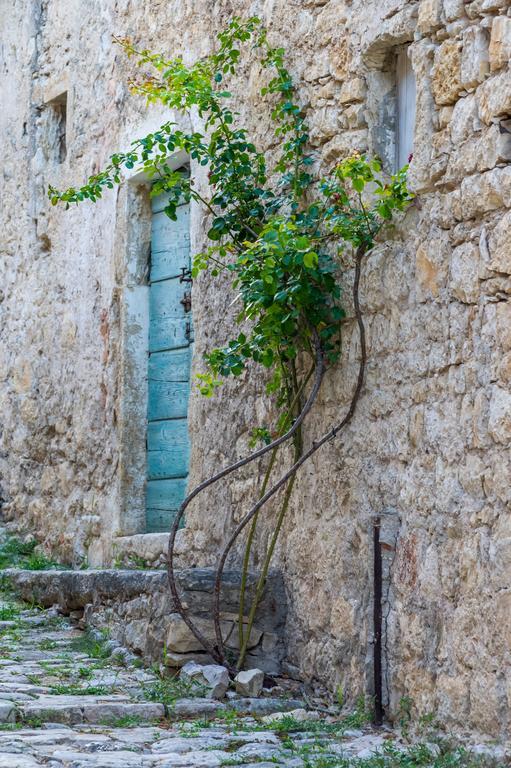 Aparthotel Castrum Novum Novigrad (Istria) Екстер'єр фото